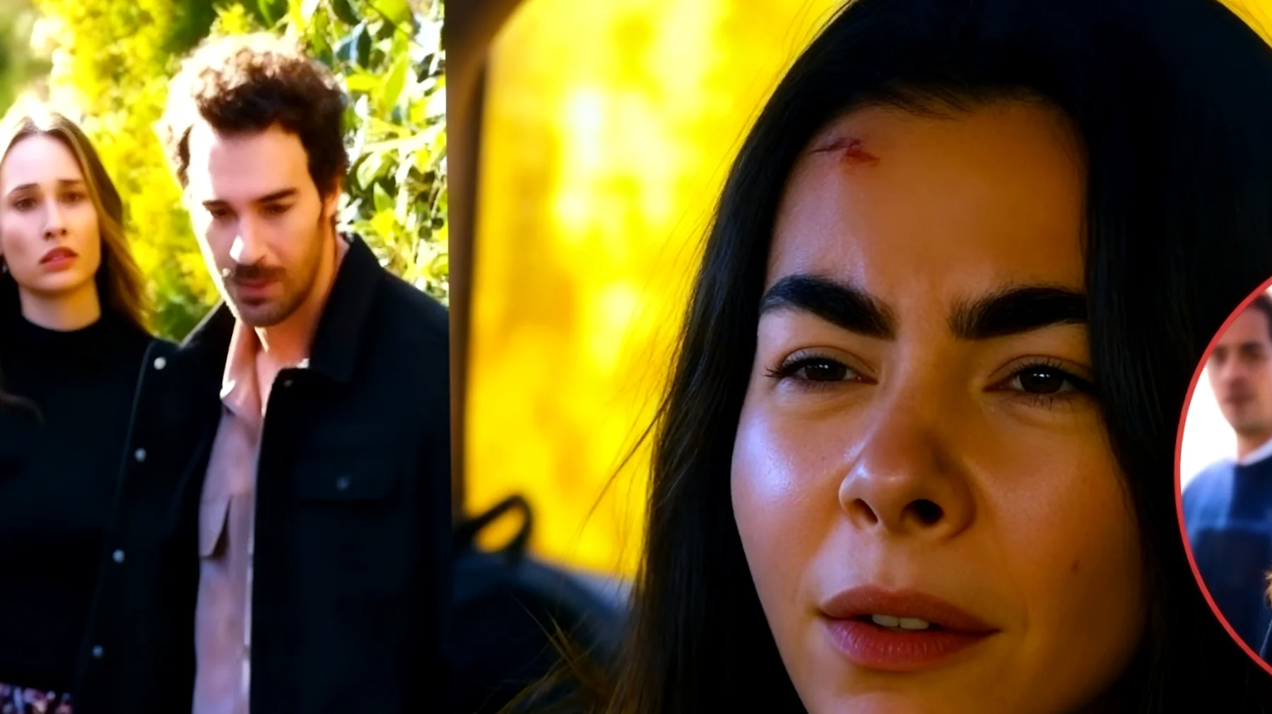 Tradimento 2026-03-15T08:42:33.531Z"